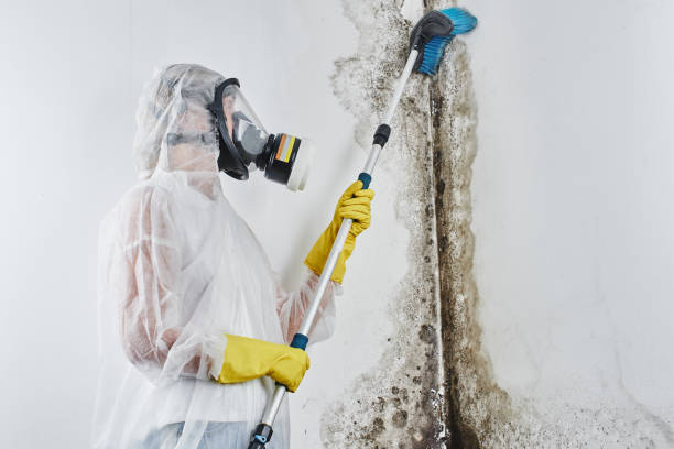 Forensic Mold Investigation in Finley, WA